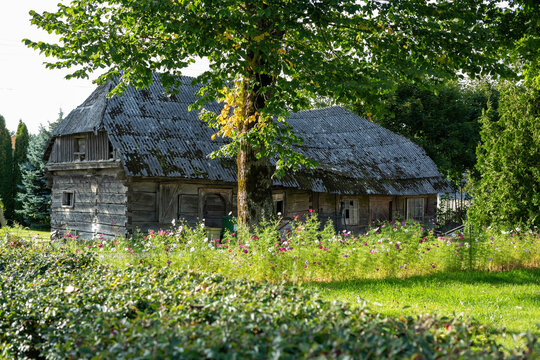An old wooden village house among blooming flowers and greenery