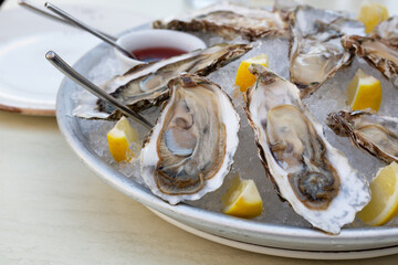 Fresh oysters on the halves of the shell are served in a plate with ice, lemons and sauce.