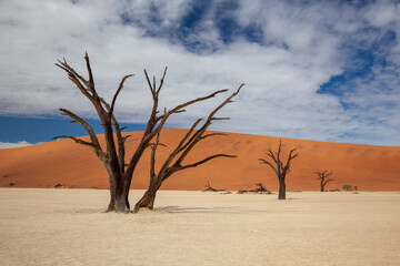 Deadvlei at Sossusvlei in Namibia, Africa