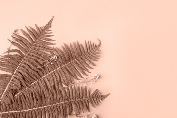 Naklejka premium Fern leaves with place for text. Demonstrating the colors of 2025 - Mocha Mousse. Flat lay, copy space