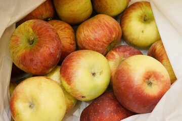 many green and red apples plastic bag background natural vitamin seasonal package market cellophane