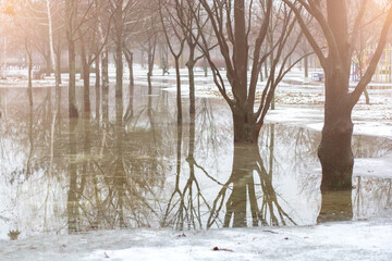 A misty winter morning in a park, where melting snow has caused flooding. The reflections of the trees in the water add to the serene and tranquil ambiance.
