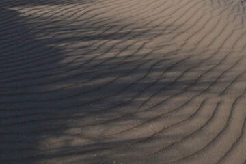 ripples in the sand
