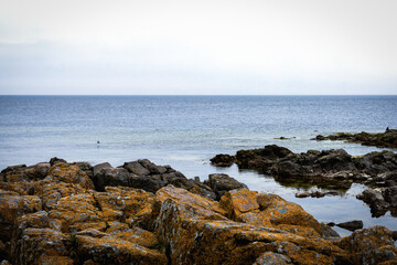 Coast line of sea. Stones covered with yellow and green moss and cloudy sky.
