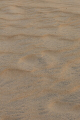 Wavy Sand Texture Close Up