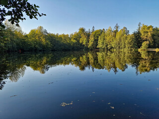 autumn trees reflected in water