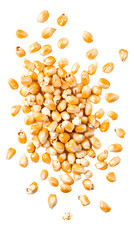 A mesmerizing 3D animation of falling popcorn kernels captured against a pristine white background, with full depth of field and transparent png background.