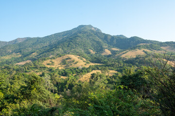 Obraz premium LA SIDRA