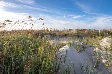 Fototapete Rund Kiawah Island, South Carolina © Ashley