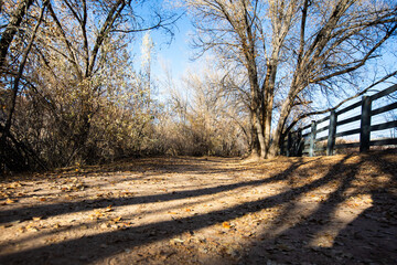 Fall scene along a trail with a fence