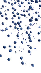 Vibrant blueberries falling in perfect focus against a white background, with a transparent PNG overlay.