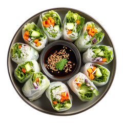 Fresh Vegetable Spring Rolls With Dipping Sauce