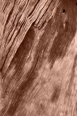 Wooden brown, mocha board texture with knot