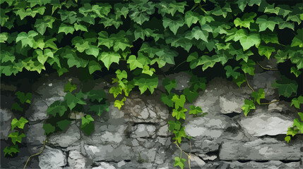 Green ivy leaves on stone wall backdrop with copy space for text