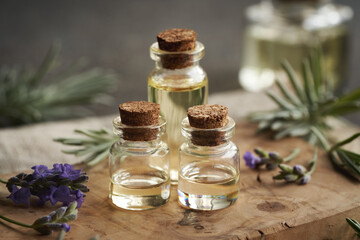 Three bottles of aromatherapy essential oil with lavender flowers