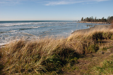 North Cove shoreline