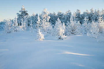 beautiful sunny winter day