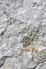 Close-Up of Textured Rock Surface