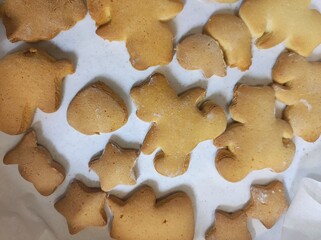 baked gingerbread in various shapes