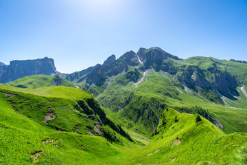 Naklejka premium Passo giau, dolomites, lush green landscape in summer, italy