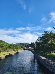Fototapeta premium river in the mountains