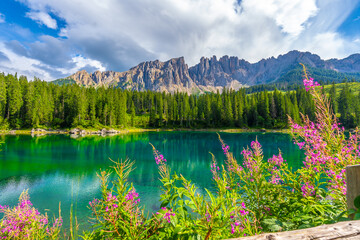 Pink flowers blooming on the shores of lake carezza with the latemar massif reflecting in the emerald water