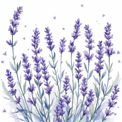 Fototapeta premium Watercolor illustration of lavender pattern