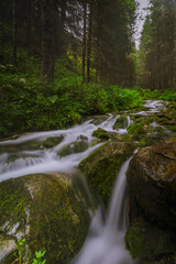 waterfall in the forest