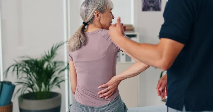 Back pain, consulting and physiotherapist with mature woman for rehabilitation, recovery and medical service. Health, clinic and chiropractor with patient for physical therapy, support and wellness
