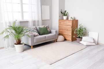 Interior of light living room with soft carpet, sofa and plants