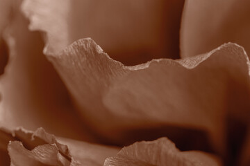 Mocha Mousse color of year 2025. Fragment of flower made of crepe paper
