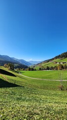 Landscape with green grass in Italian Alps portrait version