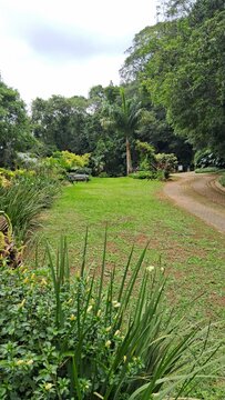 Parque Municipal de Petr&oacute;polis