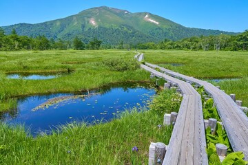 夏の群馬県の尾瀬...