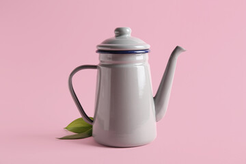 Stylish tea pot and green leaves on pink background