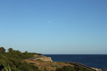 Moon in the Landscape