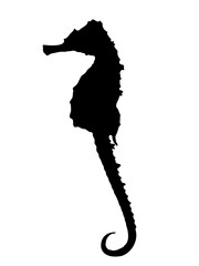 Black silhouette of seahorse .Logo, seahorse emblem, vector illustration. Sea animal 