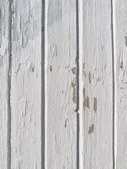 Fototapeta premium Weathered white wooden wall with peeling paint, showing the wood grain beneath.