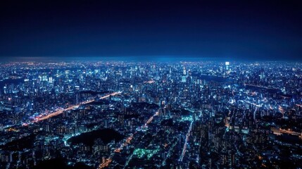 Fototapeta premium A stunning night view of a sprawling city illuminated by lights.