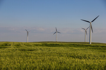 wind turbines in spring wheat field © Peter
