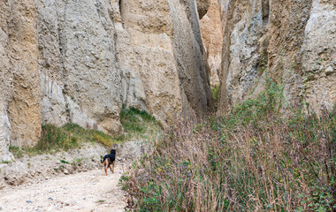 Clay cliffs in omarama new zealand natural beauty geological interest 