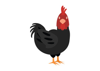Black feathered chicken. Simple flat illustration.