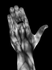 850nm Light Photography Passing Through a Hand, Revealing Veins and Internal Details