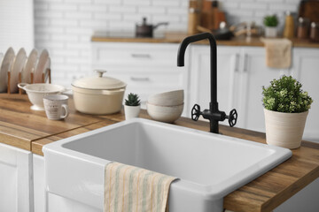 Sink, houseplants and different utensils on counter in interior of kitchen