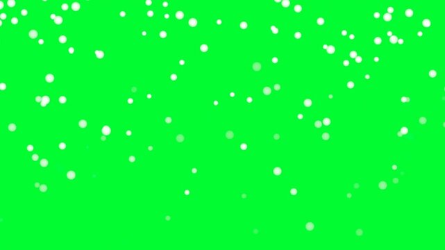 Christmas snowfall seamless loop video isolated on green background. PNG analog able with screen or add transparency mode.