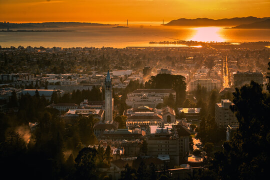 UCB mountain view