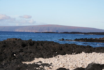 Laperouse looking at the pacific ocean in Maui Hawaii