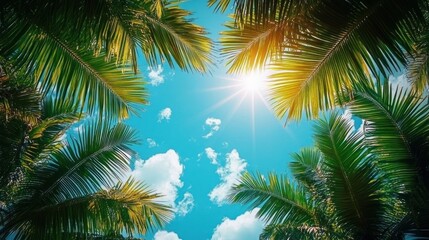 Fototapeta premium Tropical Scene with Palm Leaves Framing Bright Blue Sky Sunshine Travel Concept