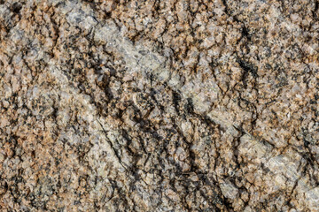 Lost Palms Oasis Trail Colorado Desert section of the Sonoran Desert. Joshua Tree National Park California，Mesozoi Plutonic Rocks, Gray biotite - rich granodiorite to quartz diorite. granite.