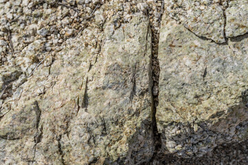 Lost Palms Oasis Trail Colorado Desert section of the Sonoran Desert. Joshua Tree National Park California，Mesozoi Plutonic Rocks, Gray biotite - rich granodiorite to quartz diorite. granite.